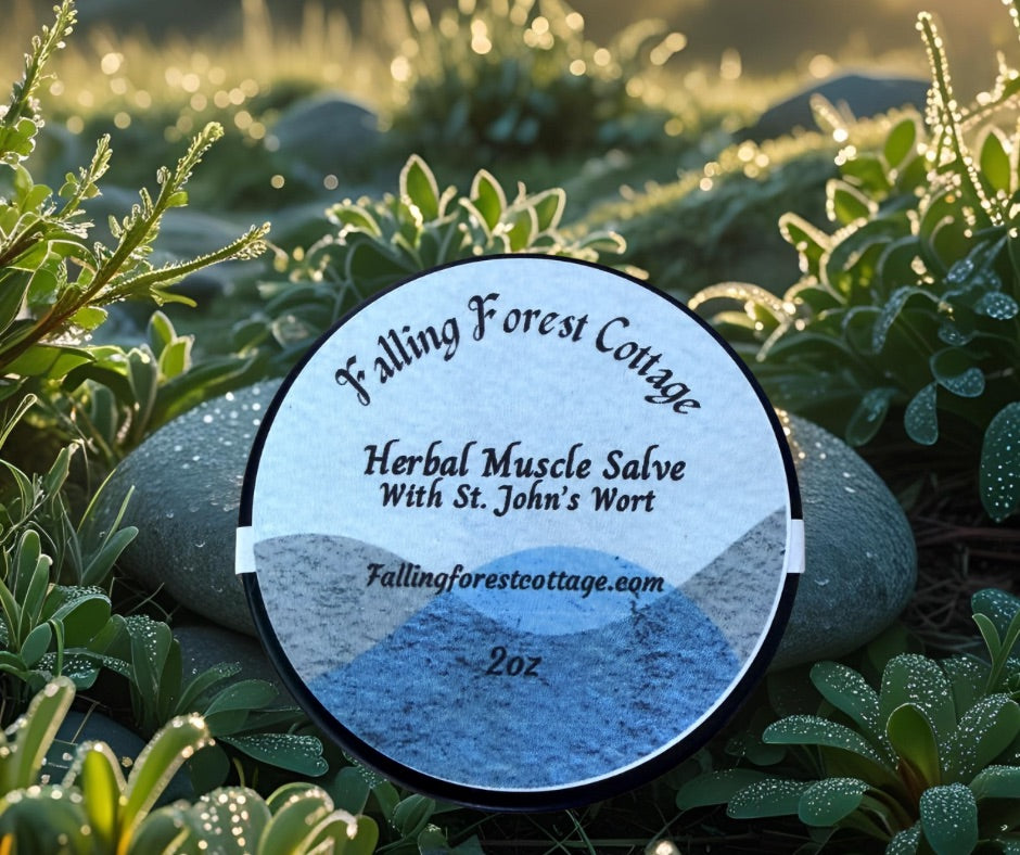 Herbal Muscle Salve – Natural Herbal Muscle Salve for Tension Relief (2oz)